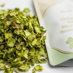 Macro Texture Close-up