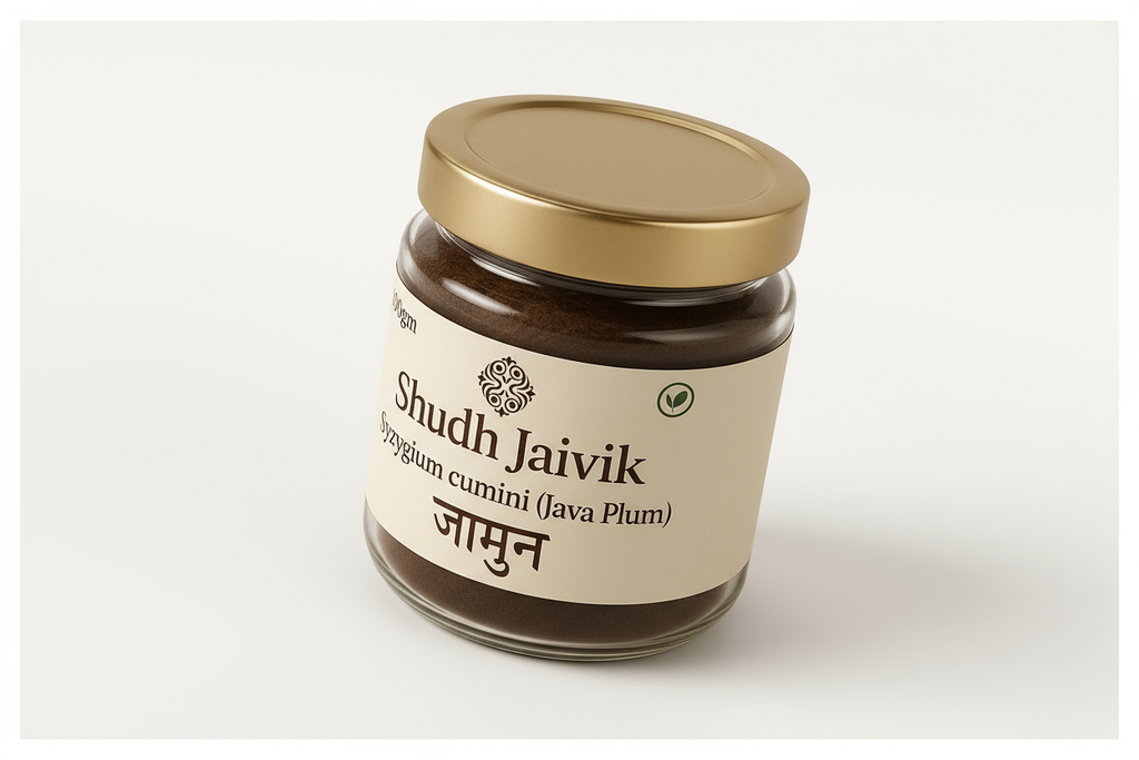 45° Angled Perspective View