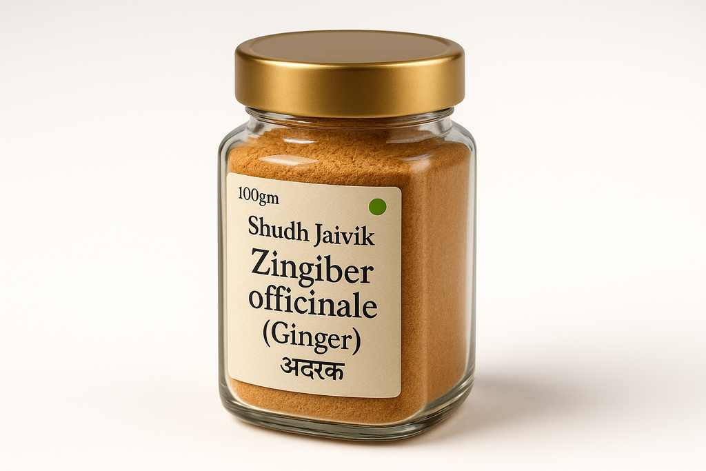 45° Angled Perspective View