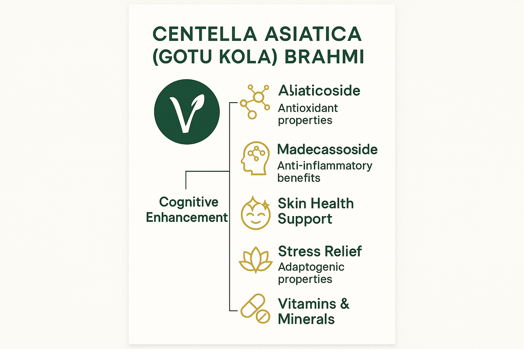 Ingredient Benefits Infographic