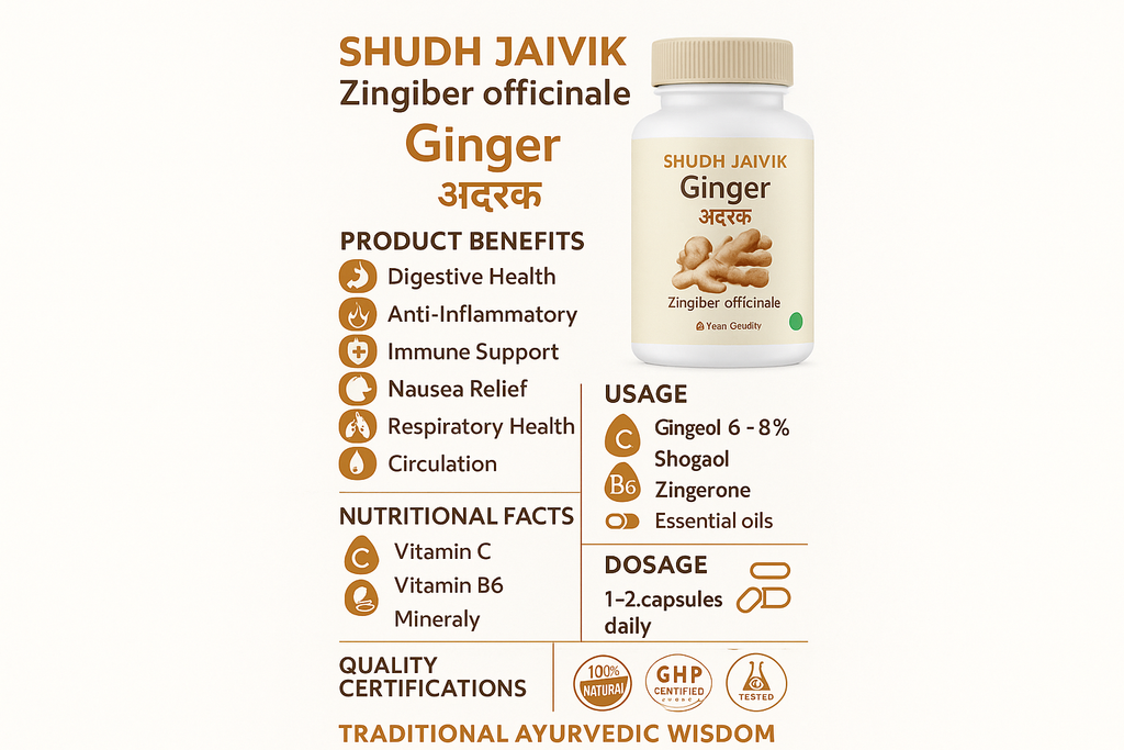 Complete Infographic