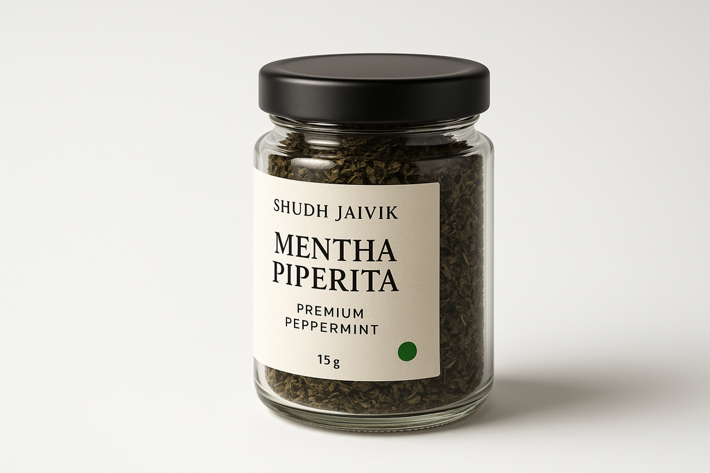 45° Angled Perspective View