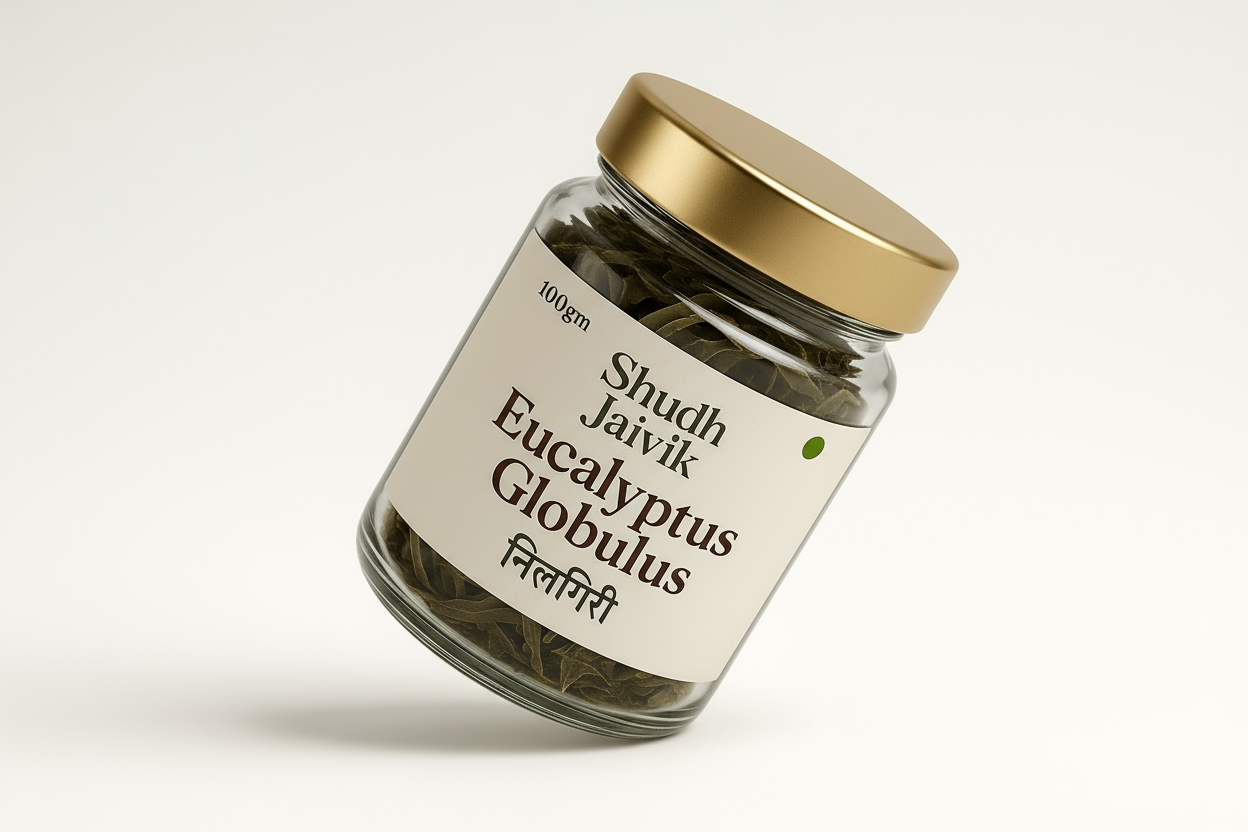 45° Angled Perspective View