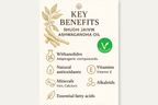 Ashwagandha Oil - Benefits