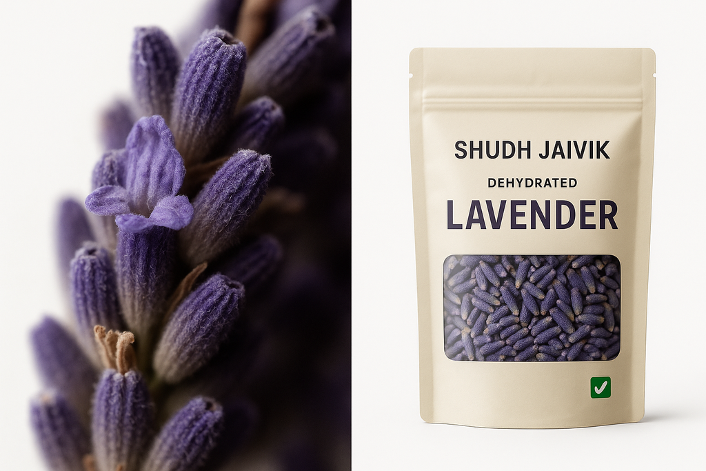 Texture - Macro Close-up