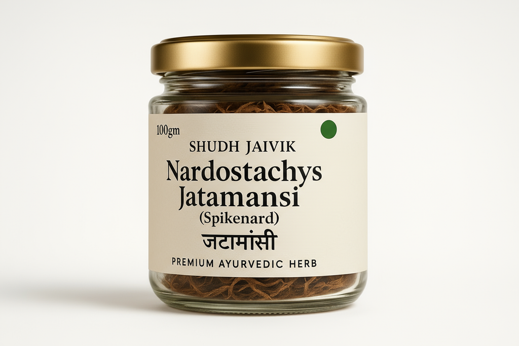 45° Perspective View