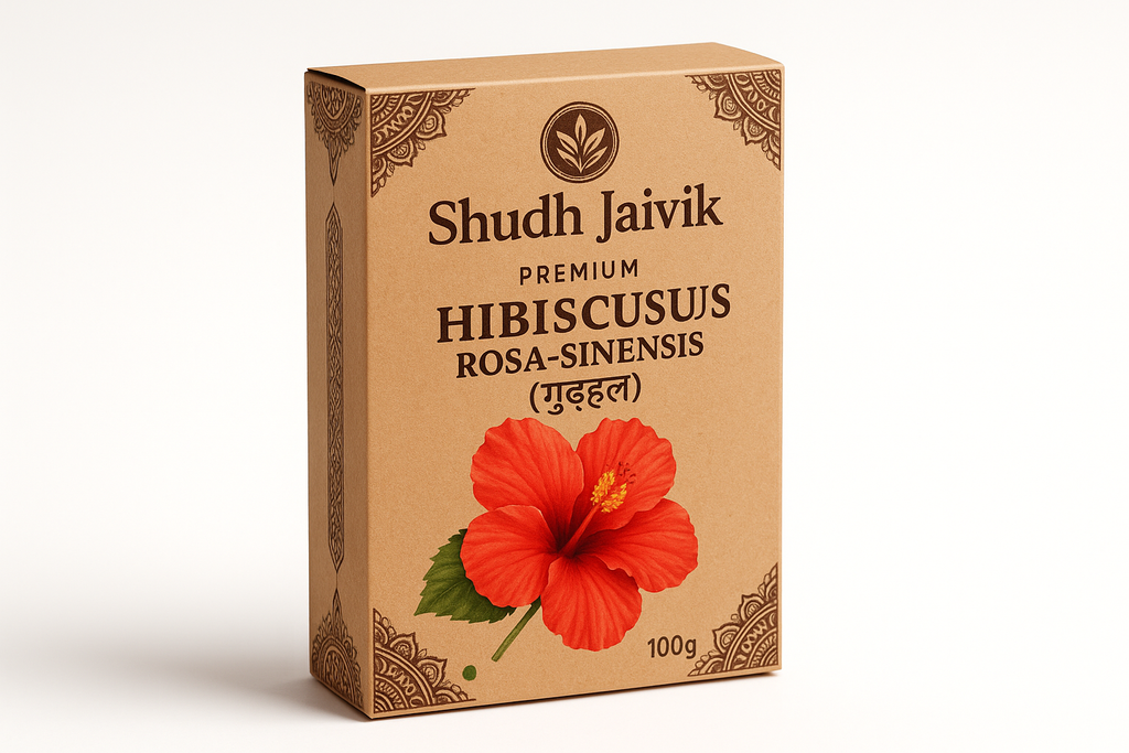 45° Angled Perspective View