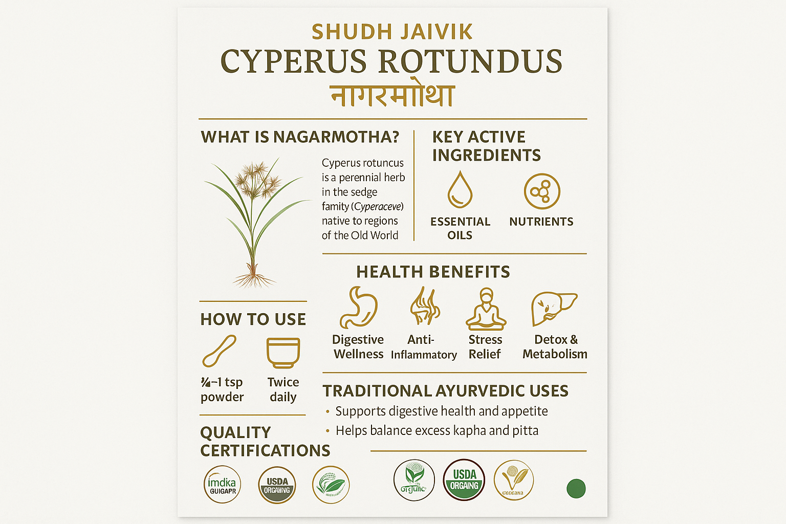 Complete Product Infographic