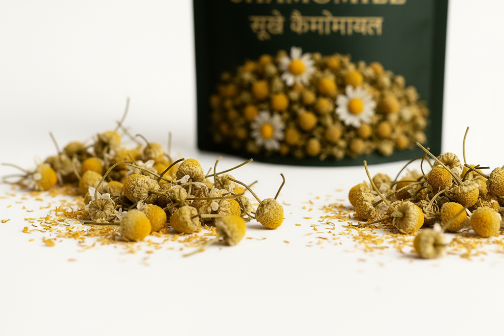 Macro Texture Close-up