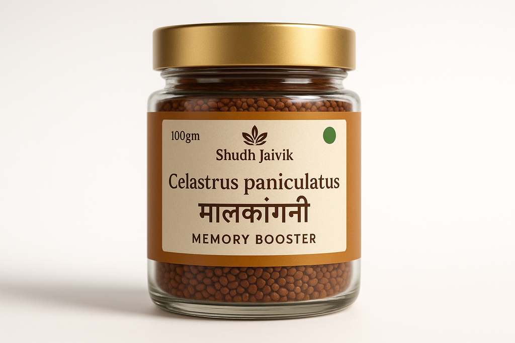 Shudh Jaivik Celastrus Paniculatus Glass Jar