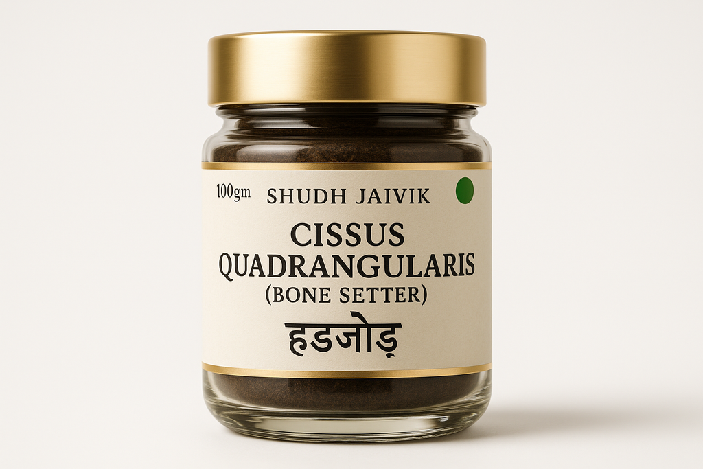 Shudh Jaivik Cissus Quadrangularis Premium Glass Jar